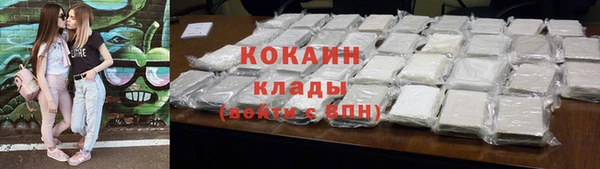 ГАЛЛЮЦИНОГЕННЫЕ ГРИБЫ Сясьстрой