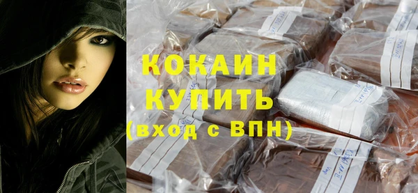 дживик Тайга